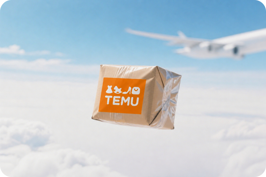 TEMU-Y2专线小包